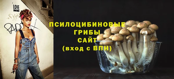 не бодяженный Богородицк