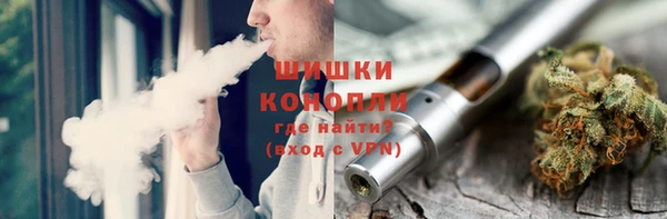 соль ск Богданович