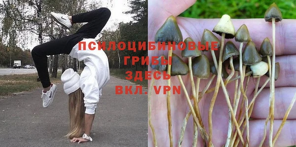 Альфа ПВП Богородск