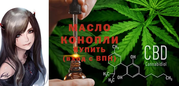 соль ск Богданович