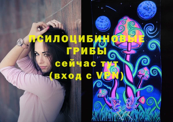 соль ск Богданович